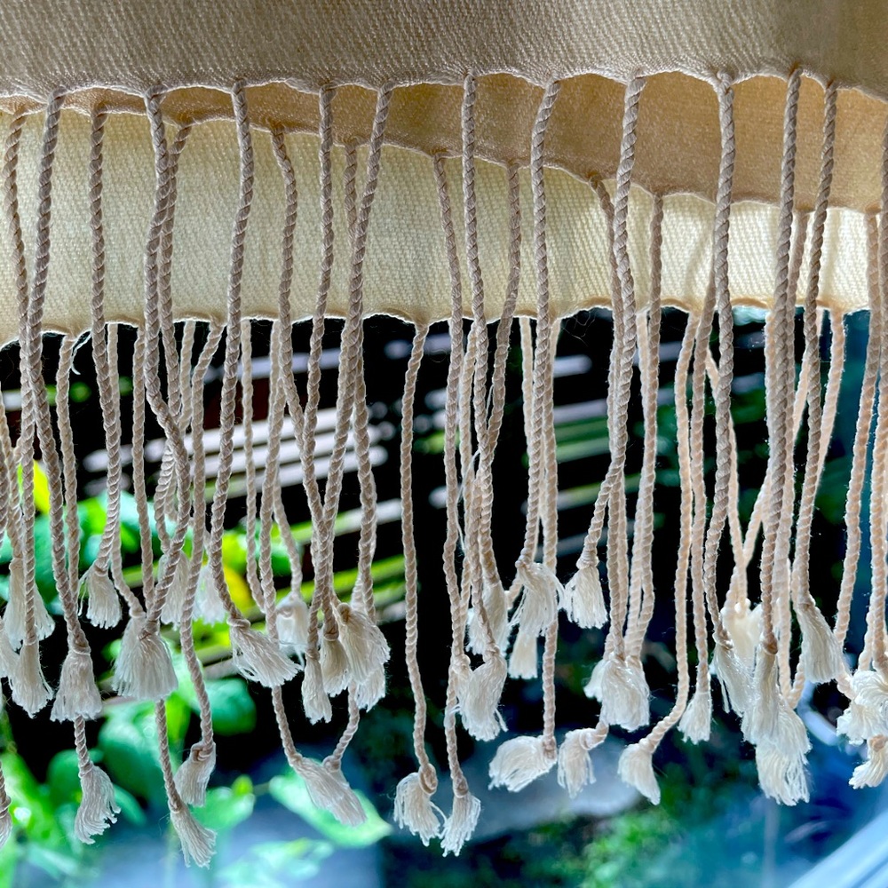 Pashmina and silk shawl